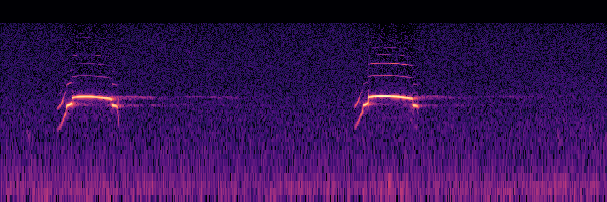 Spectrogram: Common Loon Calls With Extensive Echo